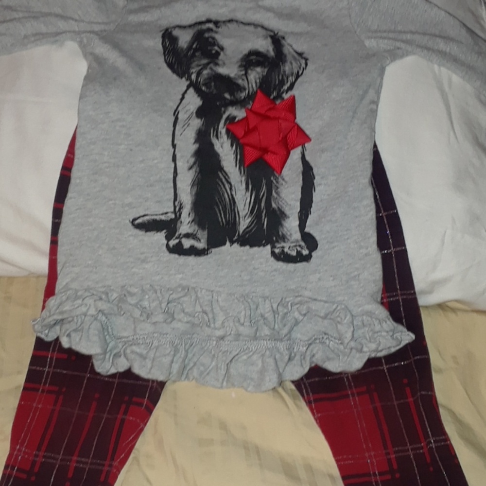 Christmas dog outfit